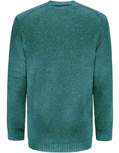 Alan Paine Shetland Crew Neck Pullover | Green