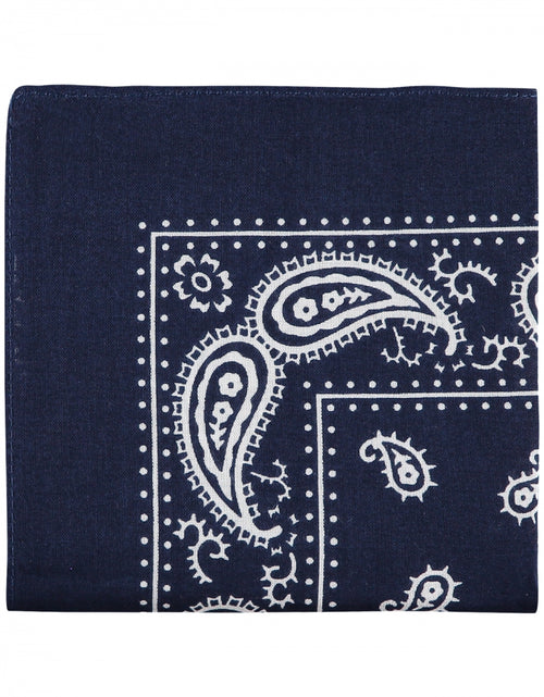 Farmer's Handkerchief | Paisley Navy