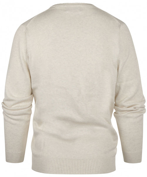 Cotton v-neck sweater | Brown