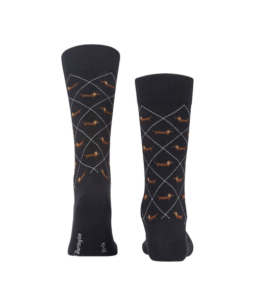 Burlington Dachshund Men's Socks | Black