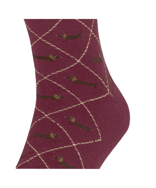 Burlington Dachshund Men's Socks | Red